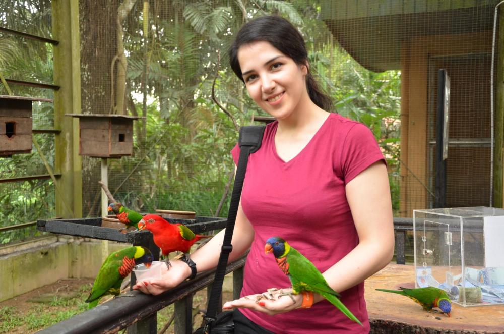 Farnaz feeding the birds