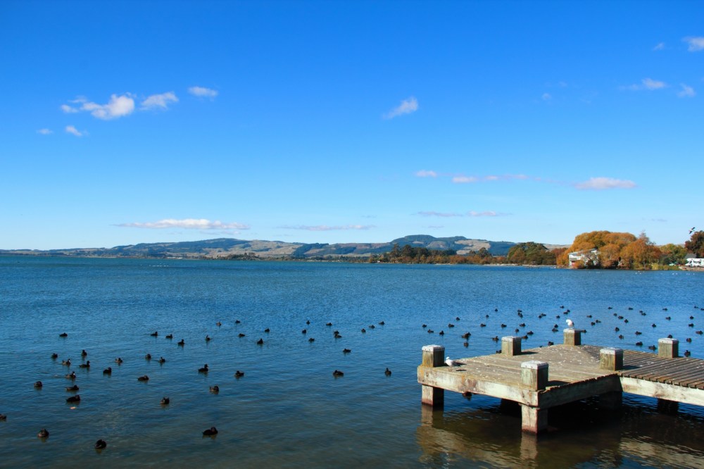 Lake Rotorua New Zealand